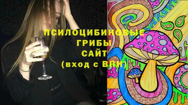 винт Алзамай